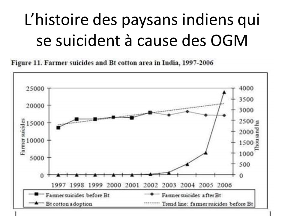 OGM (115)